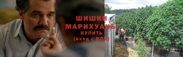 тгк Пестово