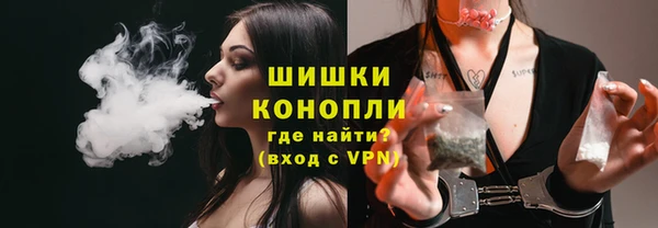 амф Осинники