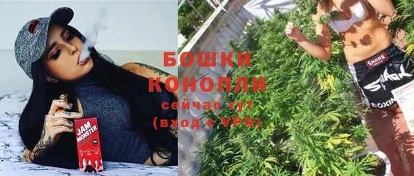 тгк Пестово