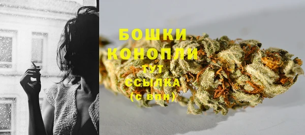 тгк Пестово